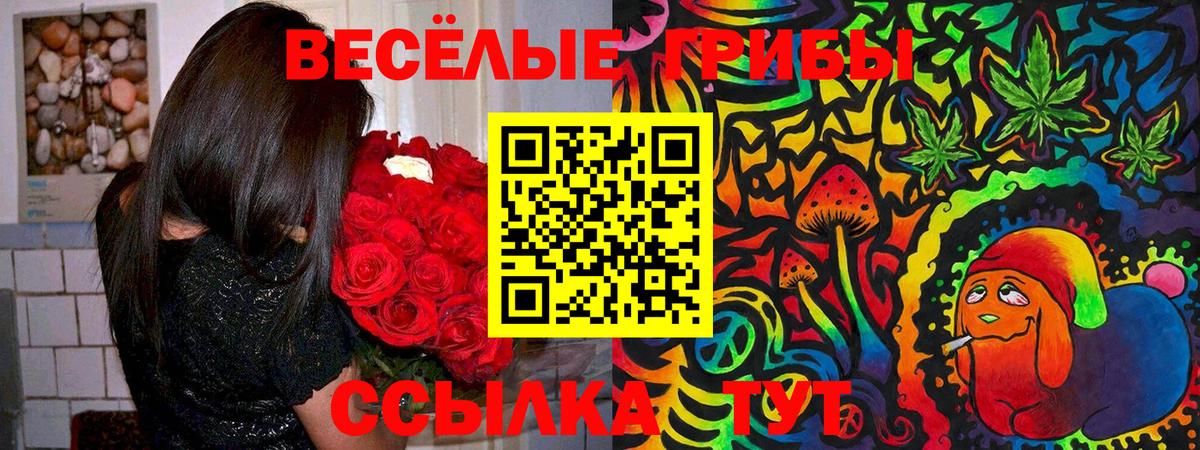 Галлюциногенные грибы мухоморы Рославль